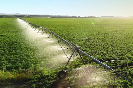 Farm Irrigation Scheme